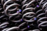 Clearance - Race Springs 61mm ID - From the manufacturer of AST / MOTON / COBRA