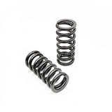 Clearance - Race Springs 61mm ID - From the manufacturer of AST / MOTON / COBRA